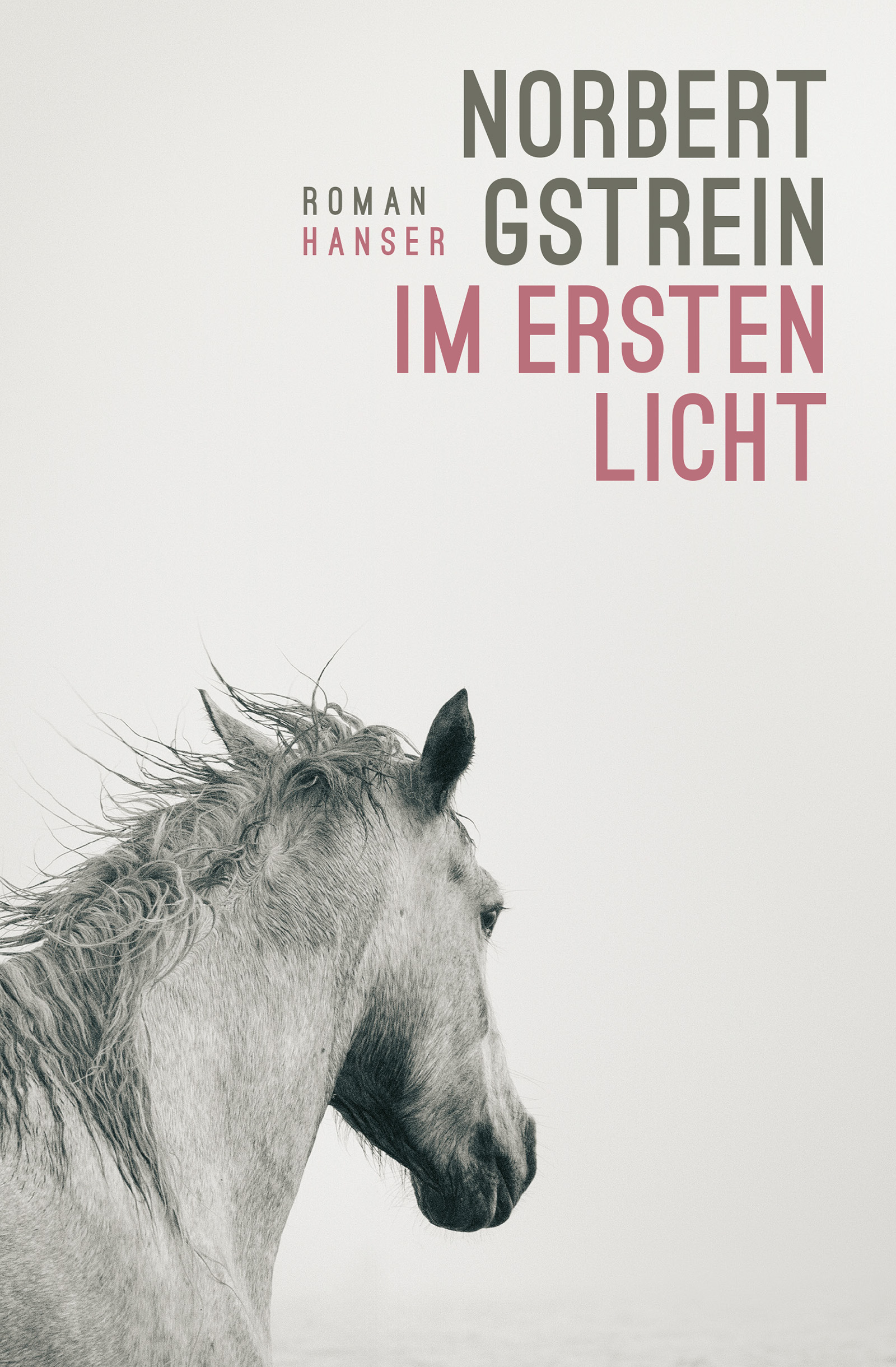 Norbert Gstrein, Im ersten Licht. Roman, Hanser 2026